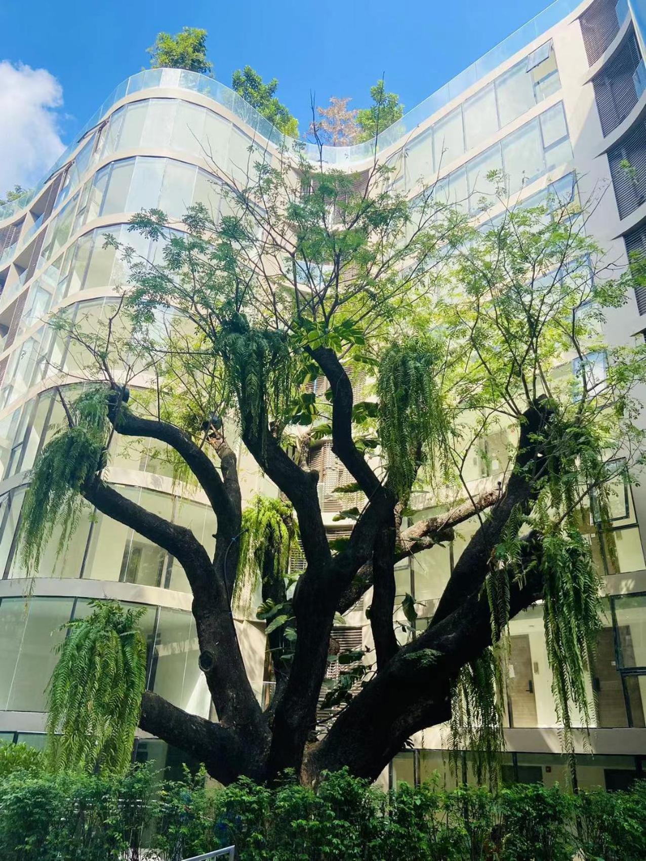 Apartamento Sukhumvit10 Asoke Nana Terminal 21 Korea Town 96